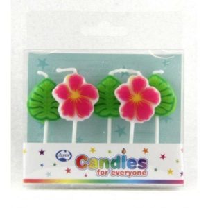 Cake Candles |  5 Pack Luau Candles Baking Cake Candles