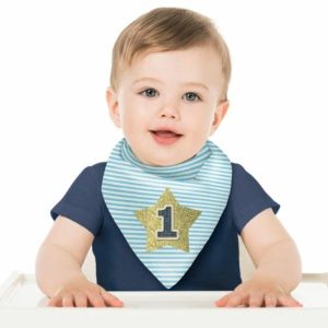 Milestone Birthday |  1St Birthday Bib – Fabric 27Cm X 32Cm Birthday Party Supplies Milestone Birthday